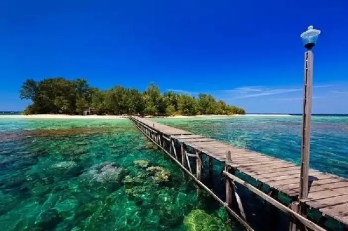 Pulau Panjang, Pulau Menakjubkan di Jepara yang Kaya Pesona