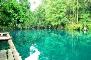 Tempat Wisata di Kalimantan Timur yang Wajib Dikunjungi untuk Liburan